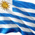 乌拉圭国家足球队旗帜